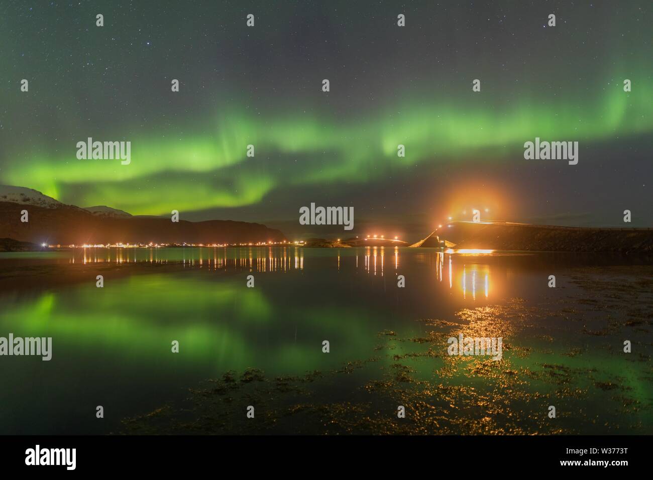 Northern lights in Lofoten islands, Norway. Green Aurora borealis ...