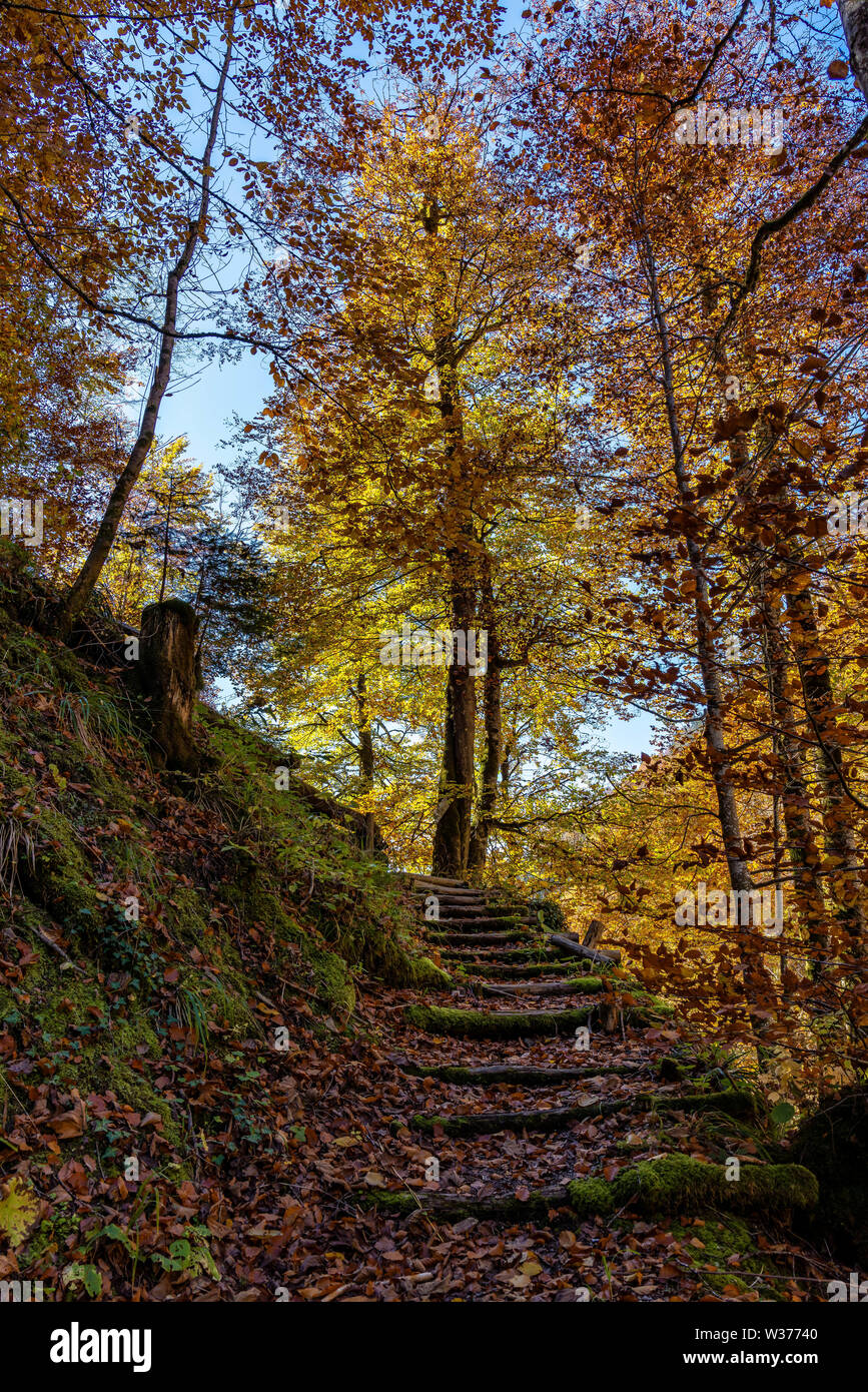 Hiking the Partnachklamm, Partnach in GarmischPartenkirchen, Bavaria, Germany Stock Photo