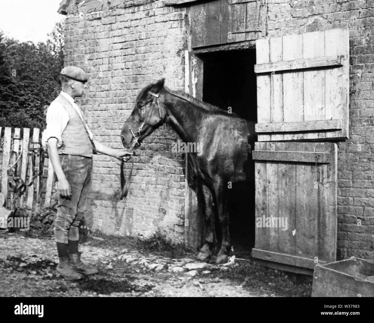 Horse in stable Stock Photo - Alamy