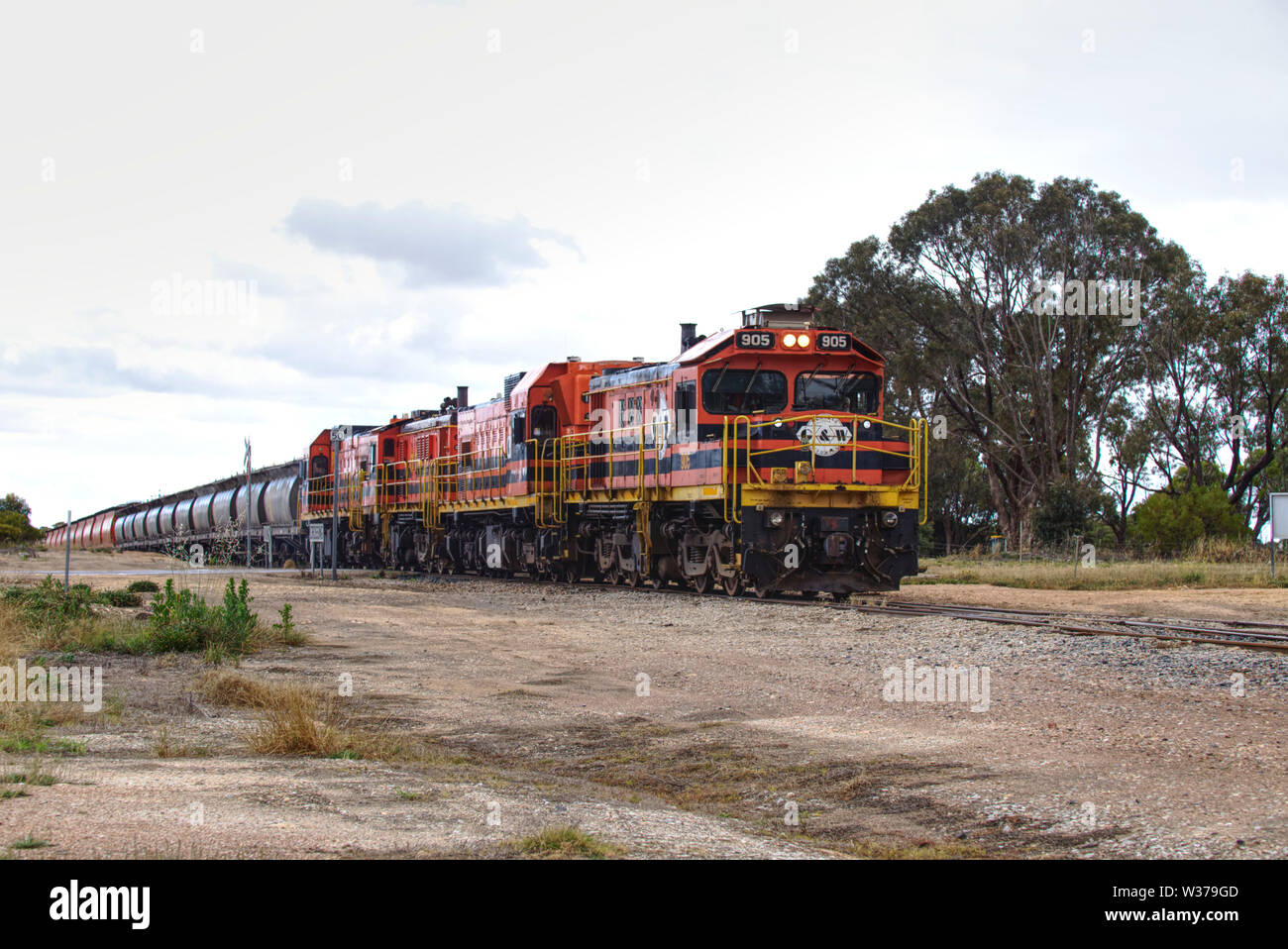 Genesee and Wyoming Australia diesel electric grain train collecting wheat barley for transportation to Port Lincoln from Lock Eyre Peninsula South Au Stock Photo