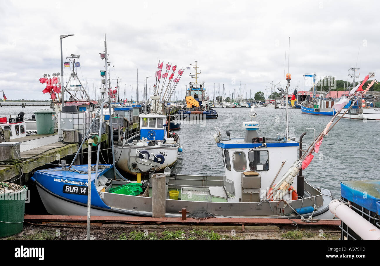 26 June 2019, Schleswig-Holstein, Fehmarn: Fishing boats lie in the harbour of Burgstaaken on Fehmarn. Photo: Markus Scholz/dpa Stock Photo