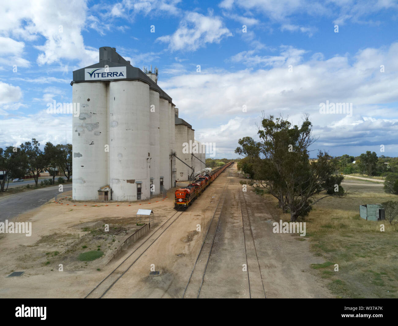 Grain Train with four locomotives collecting grain ( wheat barley) for ...