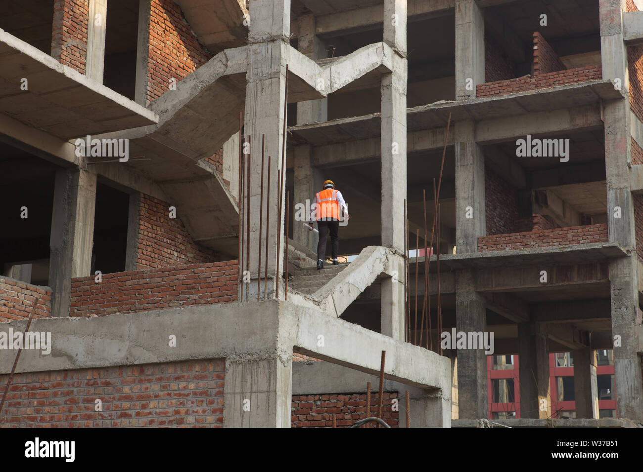 Rear view of a architect Surveying building Stock Photo