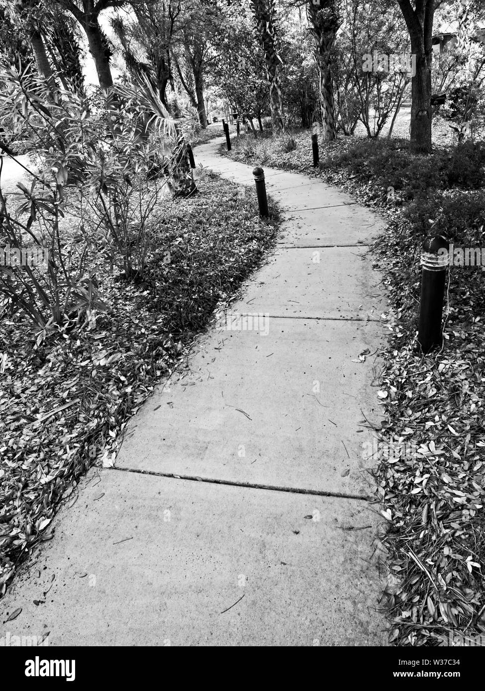 Gulf Shores, AL USA 05/11/2019 Pathway in Gulf Shores AL 2 in B&W