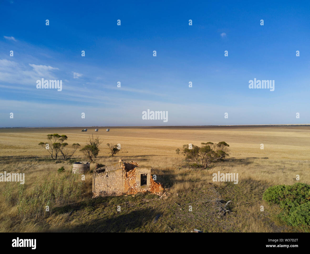 Abandoned pioneer settler farm house in the wheat fields near Lock Eyre