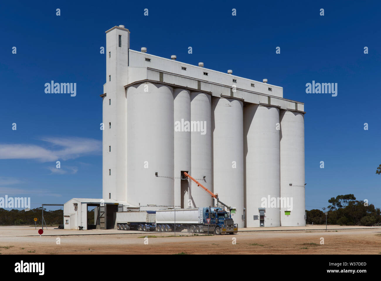 Unloading of a roadtrain hauling bulk wheat at the silos Rudall Eyre Peninsula South Australia Stock Photo