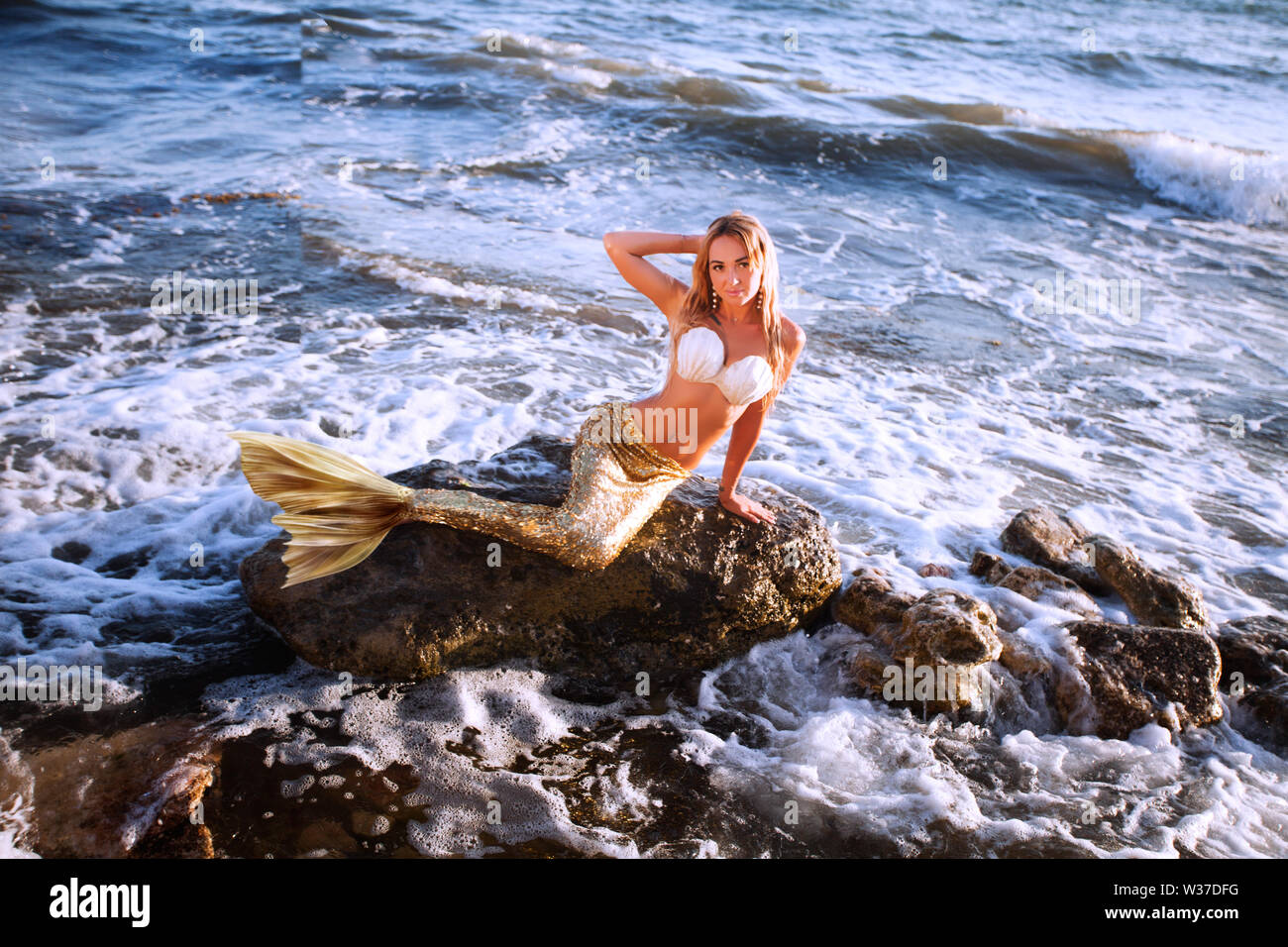 beautiful mermaid with golden tail sits on the seashore Stock Photo