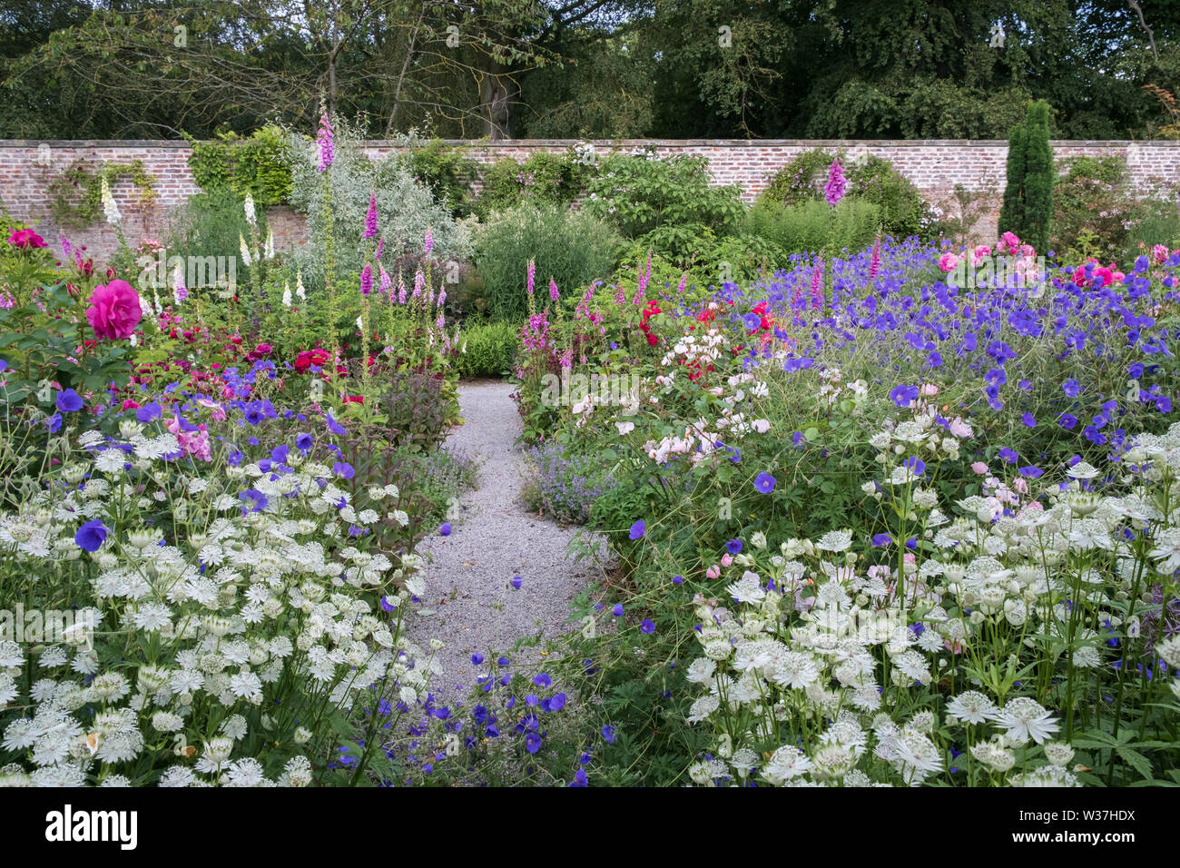 English country garden flower borders in the walled garden at Middleton Lodge hotel & Stately Home near Middleton Tyas Richmond North Yorkshire Stock Photo