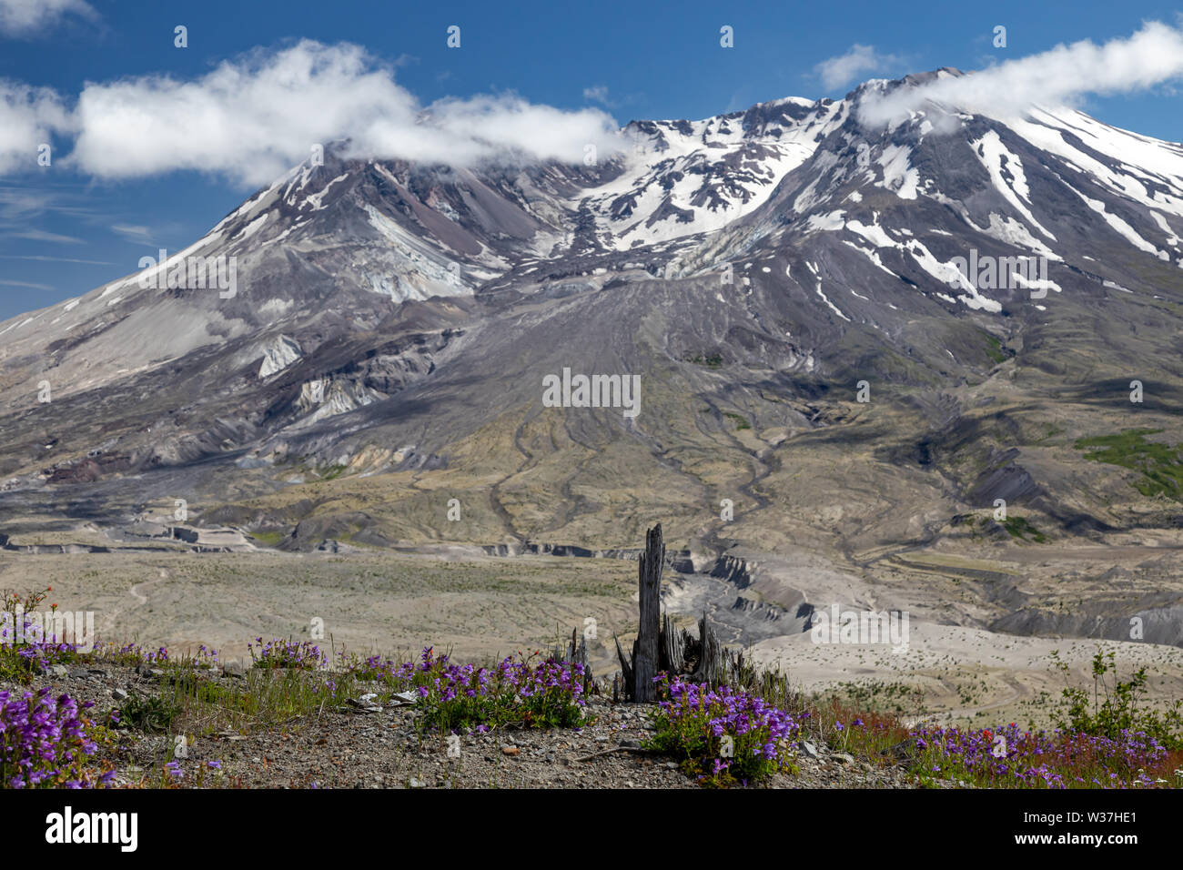 Mt st helens eruption hi-res stock photography and images - Alamy
