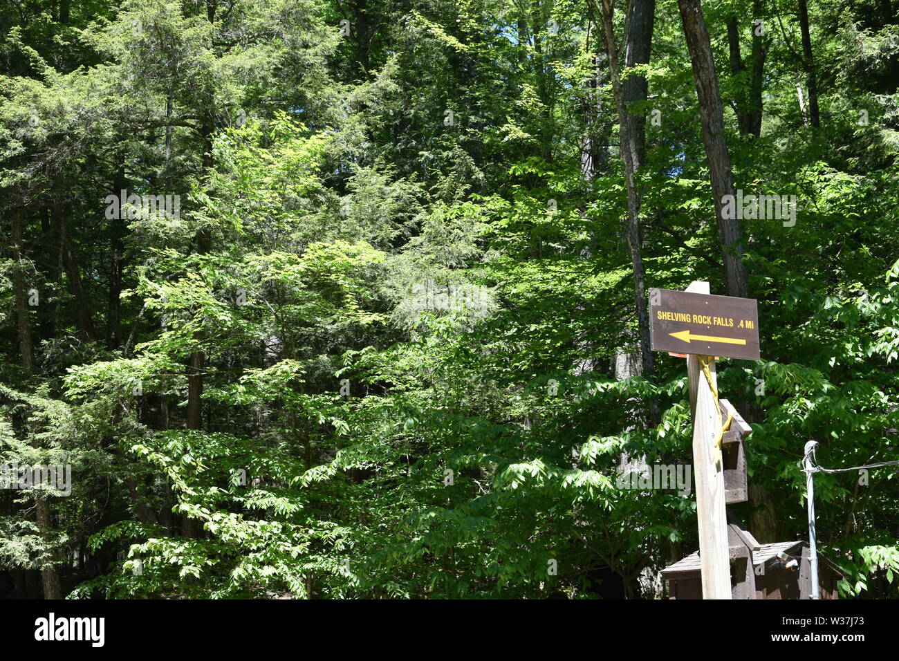 A view of Lake New York in the Adirondack Park, Upstate, New York, USA Stock Photo Alamy