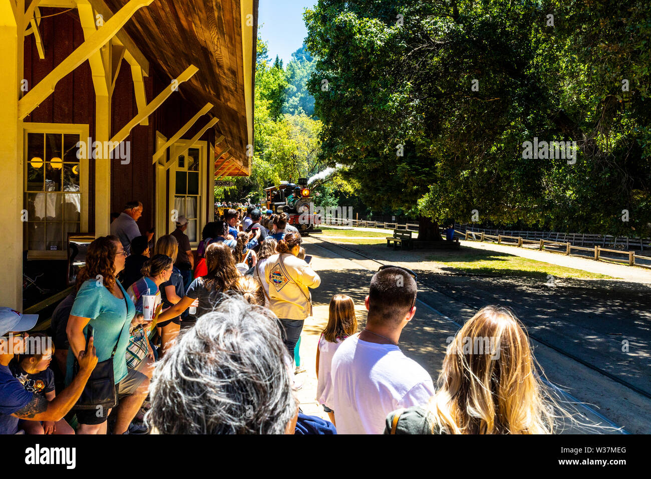 Roaring Camp and Big Trees Railroad in Felton California USA Stock