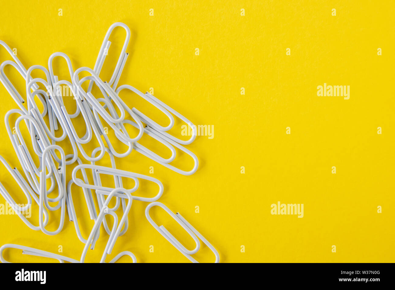 White paperclips on a bright yellow background Stock Photo