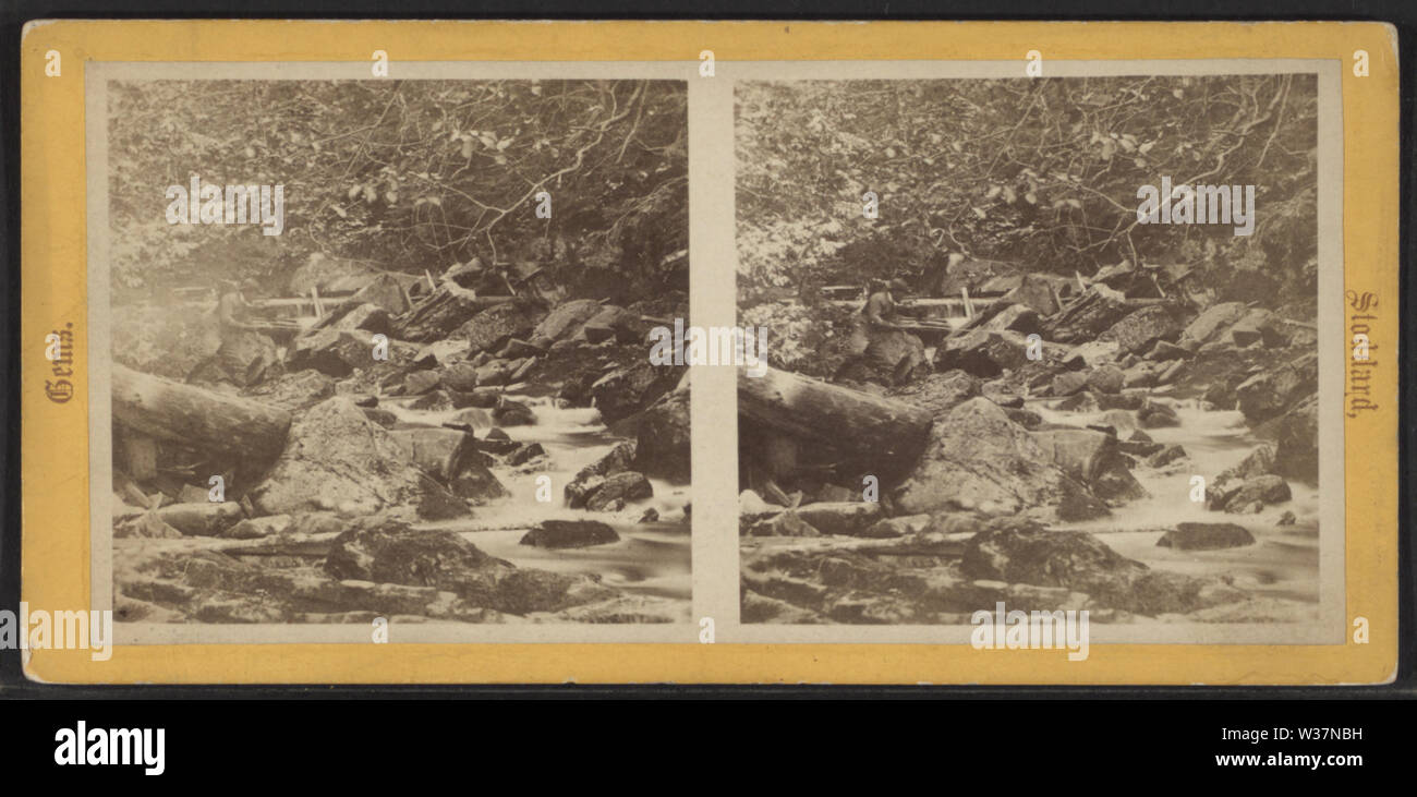 The Trout Brook, Lake NY, by Stoddard, Seneca Ray, 18441917