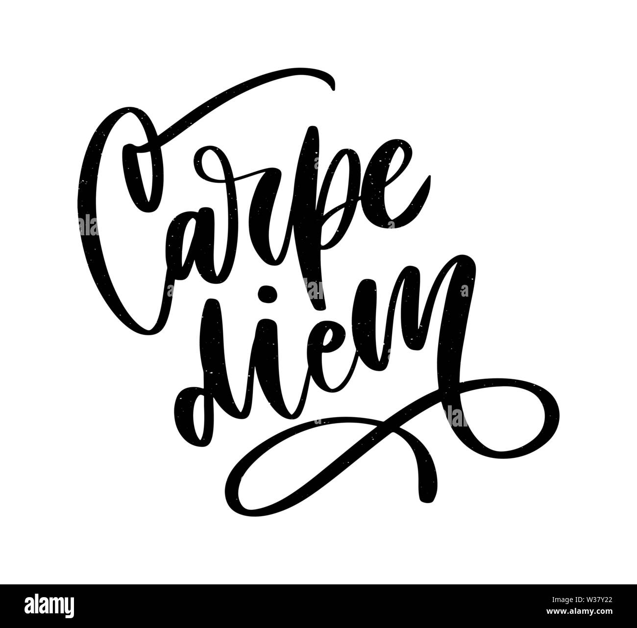 Carpe Diem. Beautiful message. It can be used for website design, t-shirt, phone case, poster, mug etc Stock Vector Image & Art - Alamy