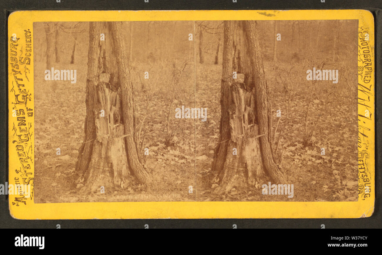 1929 Shell High Resolution Stock Photography and Images - Alamy