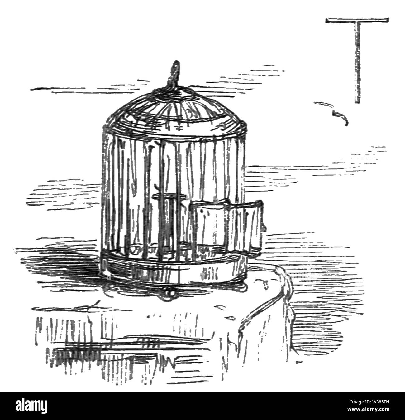 Vanity Fair D519 Stock Photo Alamy