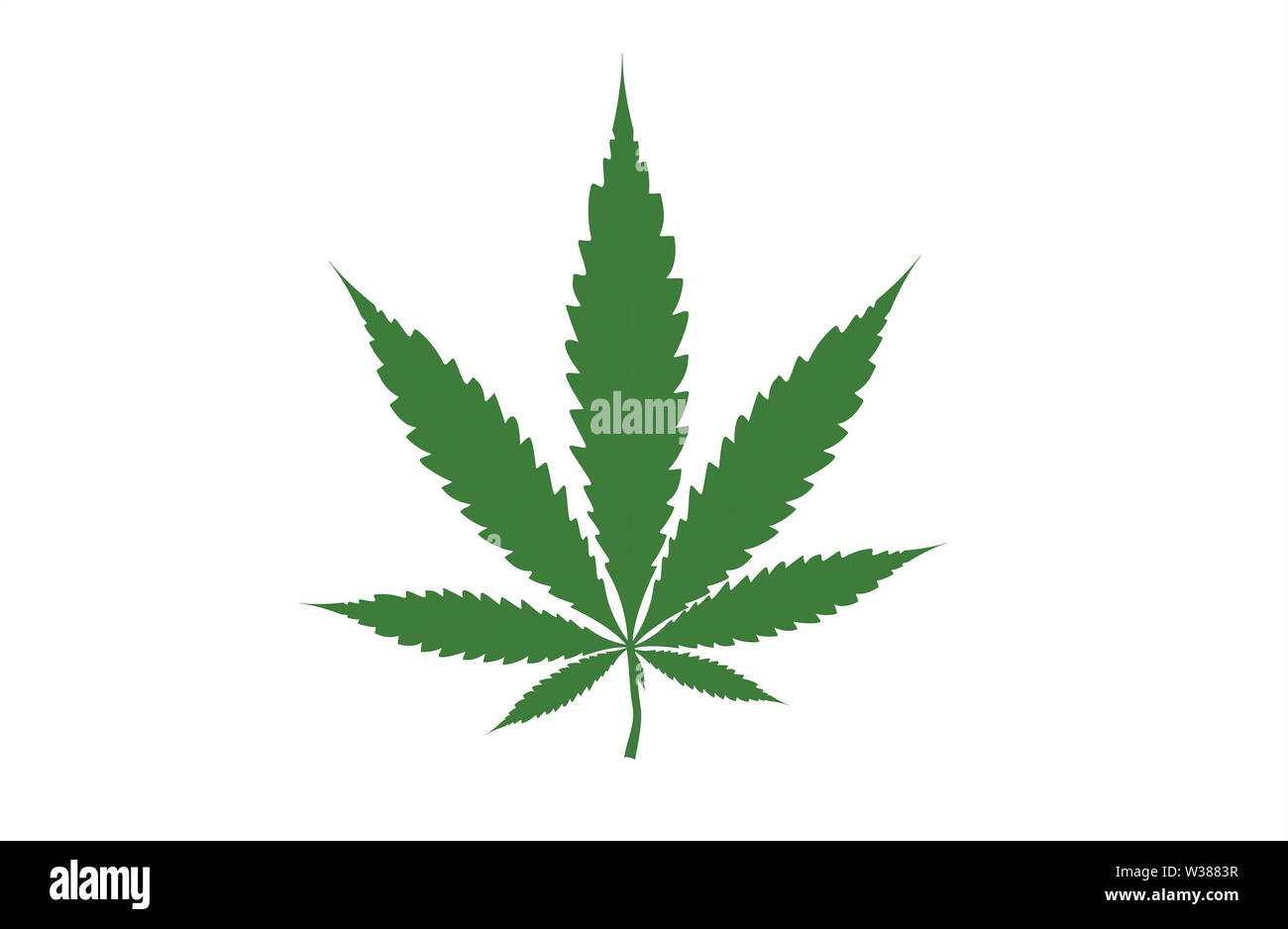 3d illustration of marijuana leaves, Thailand can treat cancer and various diseases Stock Photo