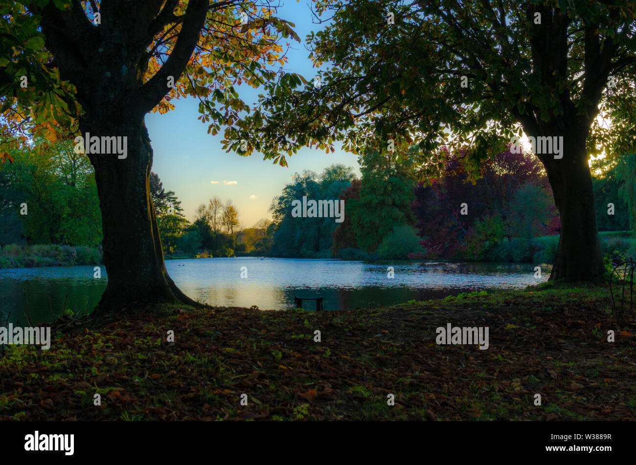 Trees in autumn by a river Stock Photo - Alamy