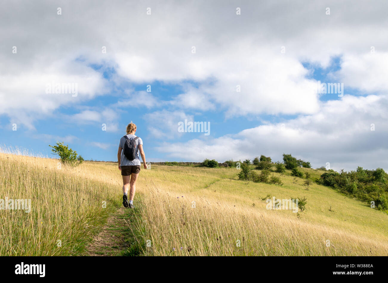 Woman hiking in the countryside in summert Stock Photo