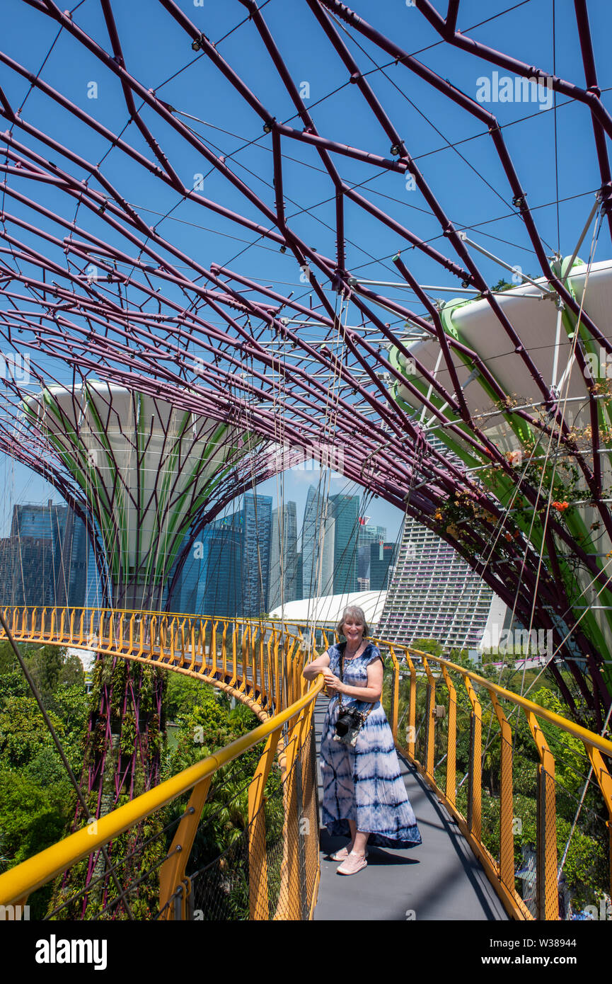 Singapore, Gardens by the Bay, Supertree Grove, Man-made vertical gardens up to 16 stories tall. OCBC Skyway. Stock Photo