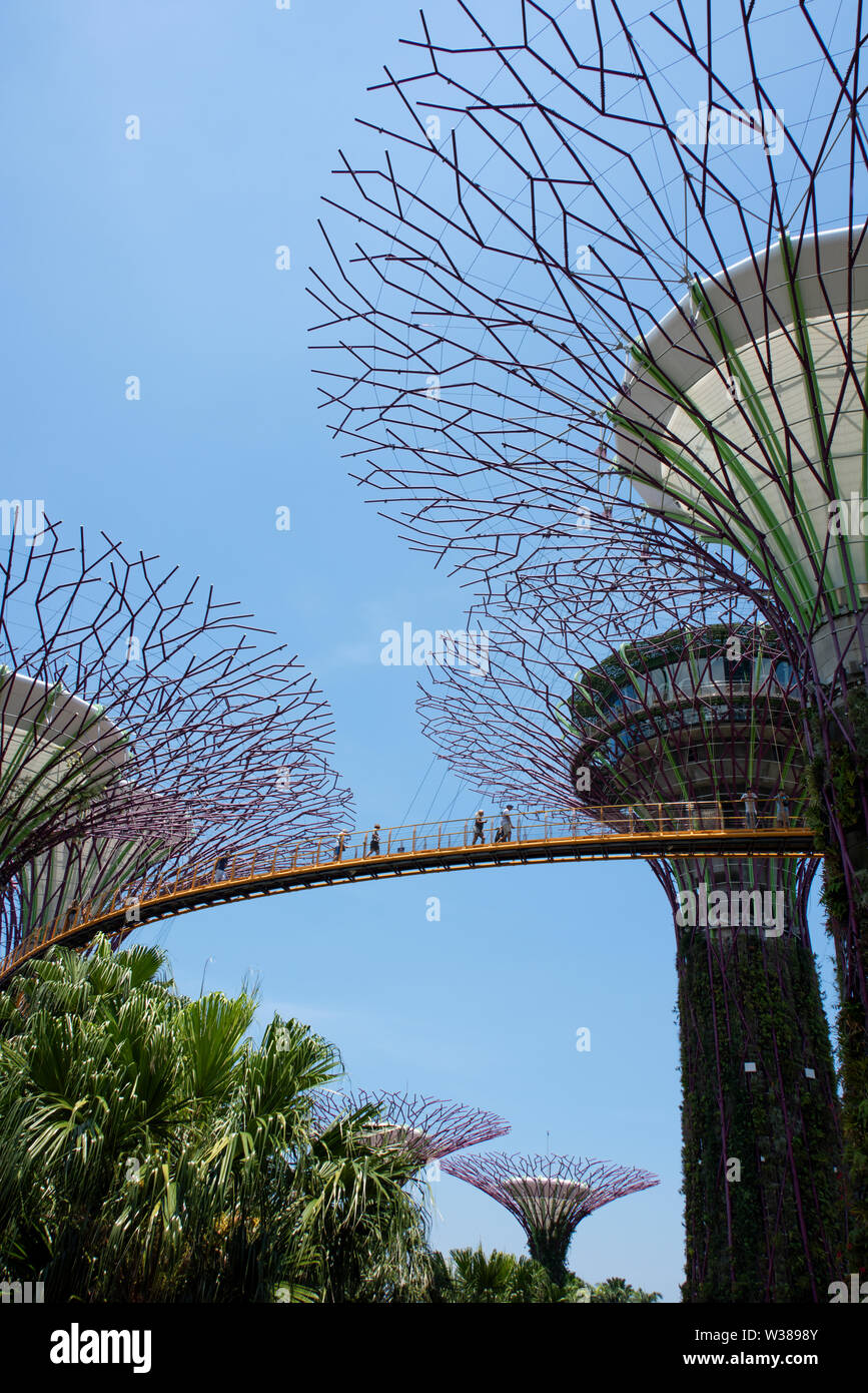 Singapore, Gardens by the Bay, Supertree Grove, Manmade vertical