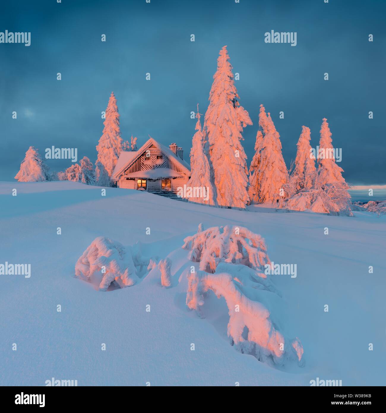 Winter panorama landscape with forests, trees covered with snow and ...