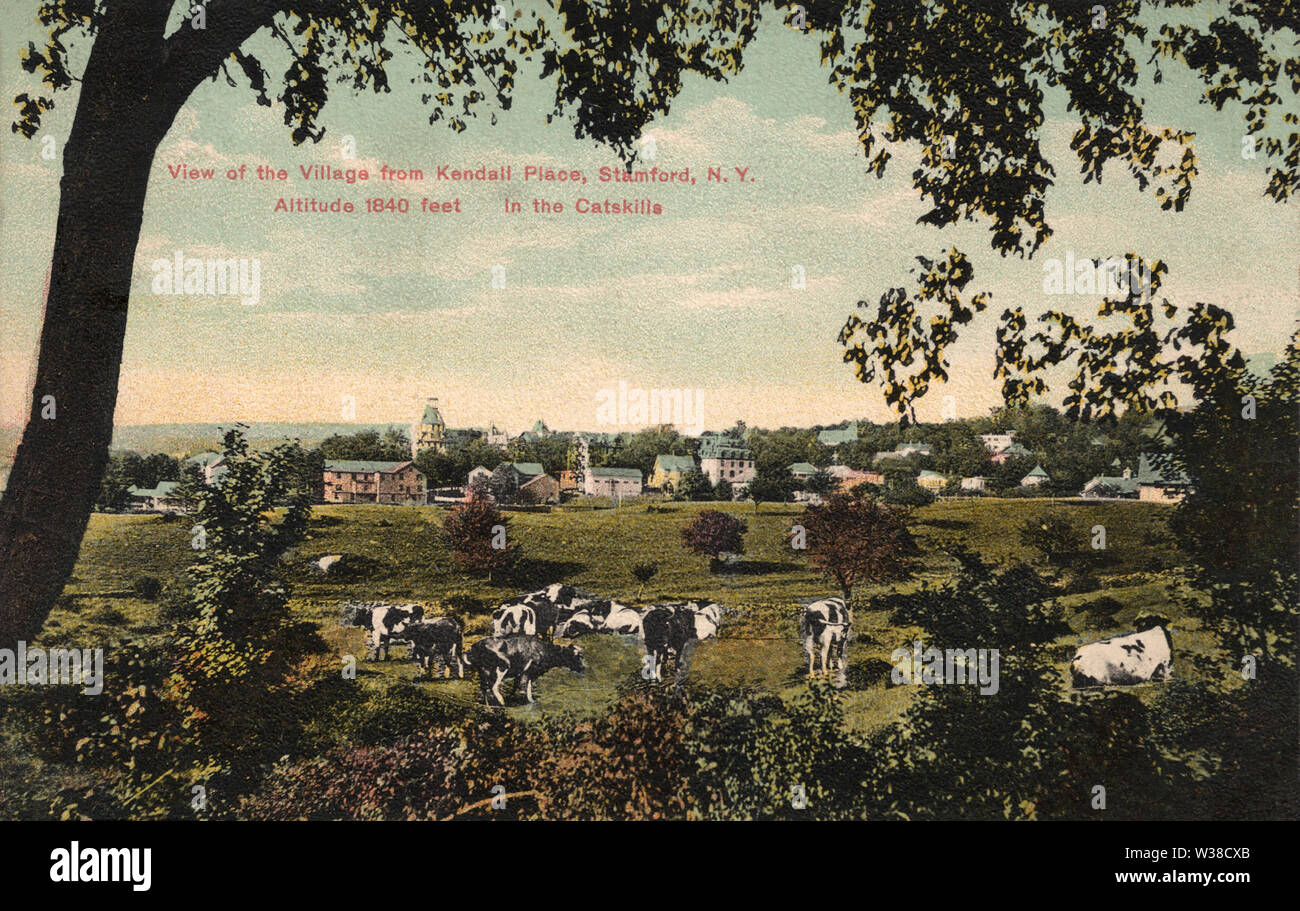 View of Stamford, New York, circa 1911 Stock Photo Alamy