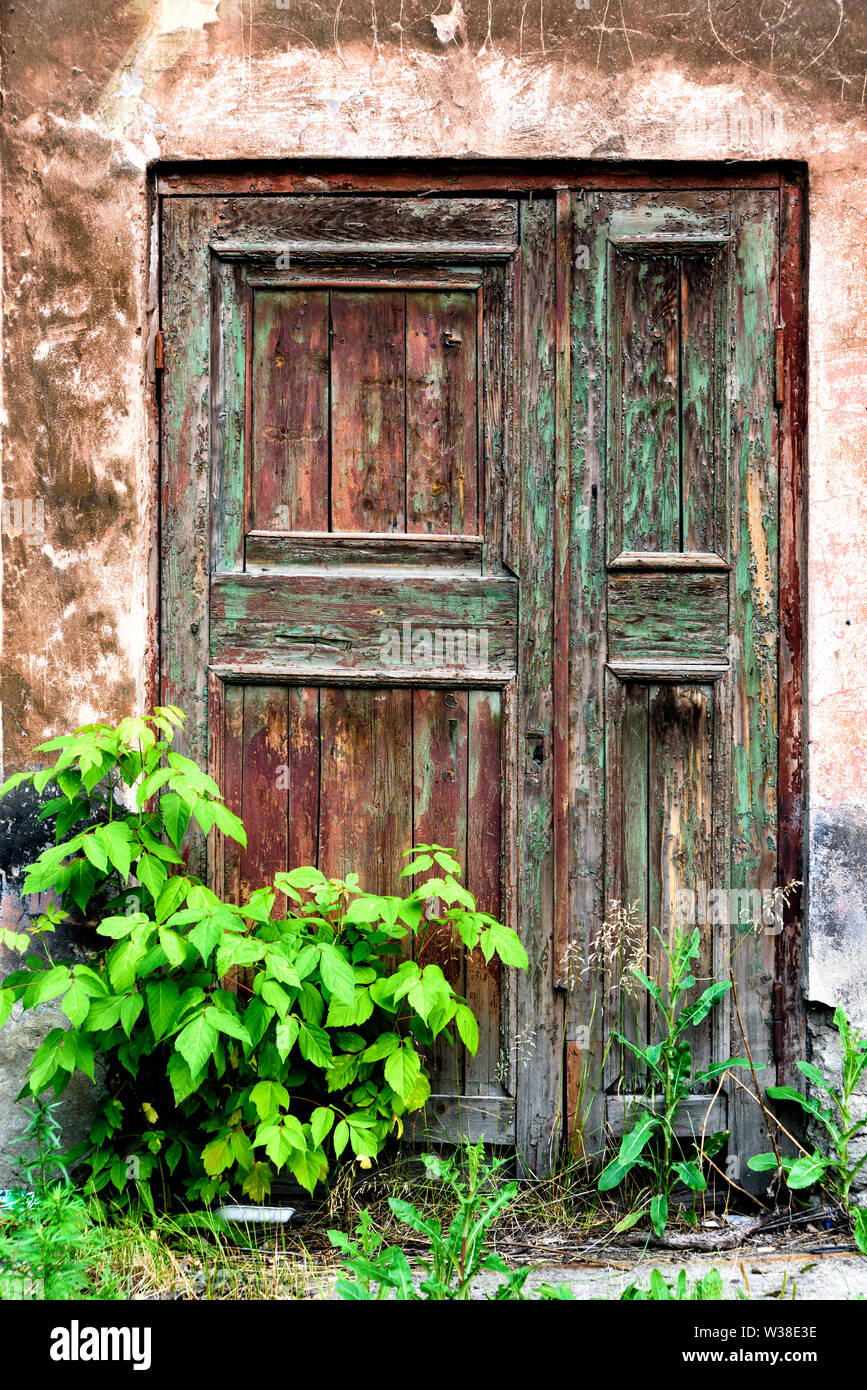 Spring green grass over wood fence with old door background Stock Photo ...