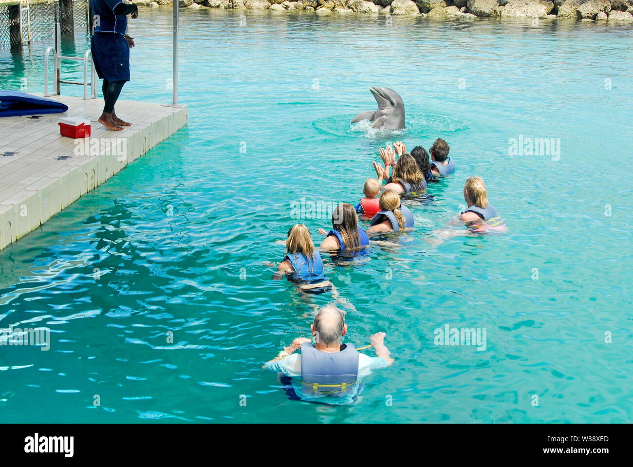 Swimming with the dolphins at Blue Lagoon Island near Nassau, Bahamas