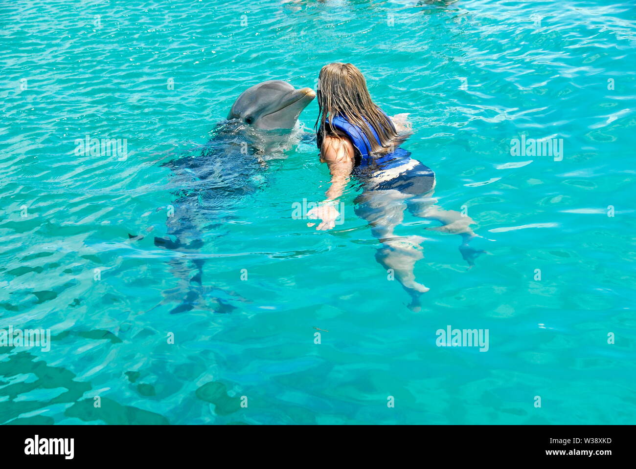 Swimming with the dolphins at Blue Lagoon Island near Nassau, Bahamas, a shore excursion from Disney Dream cruise ship. Stock Photo