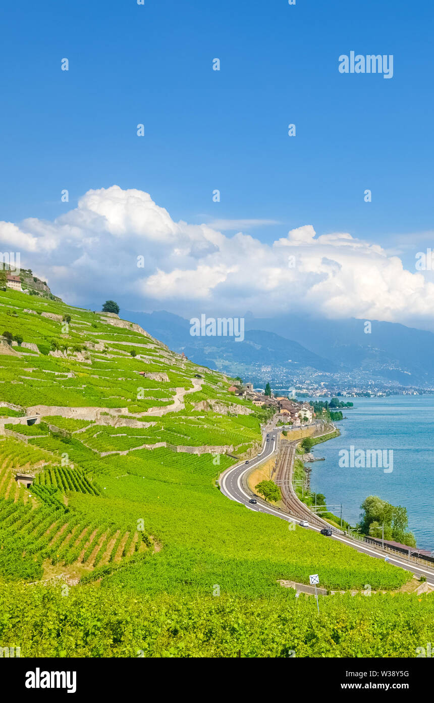 Beautiful terraced vineyards on the slopes by Swiss Geneva Lake, French Lac Leman. Popular tourist destination in amazing Switzerland. UNESCO Heritage. Stunning nature, sceneries. Europe, travel. Stock Photo