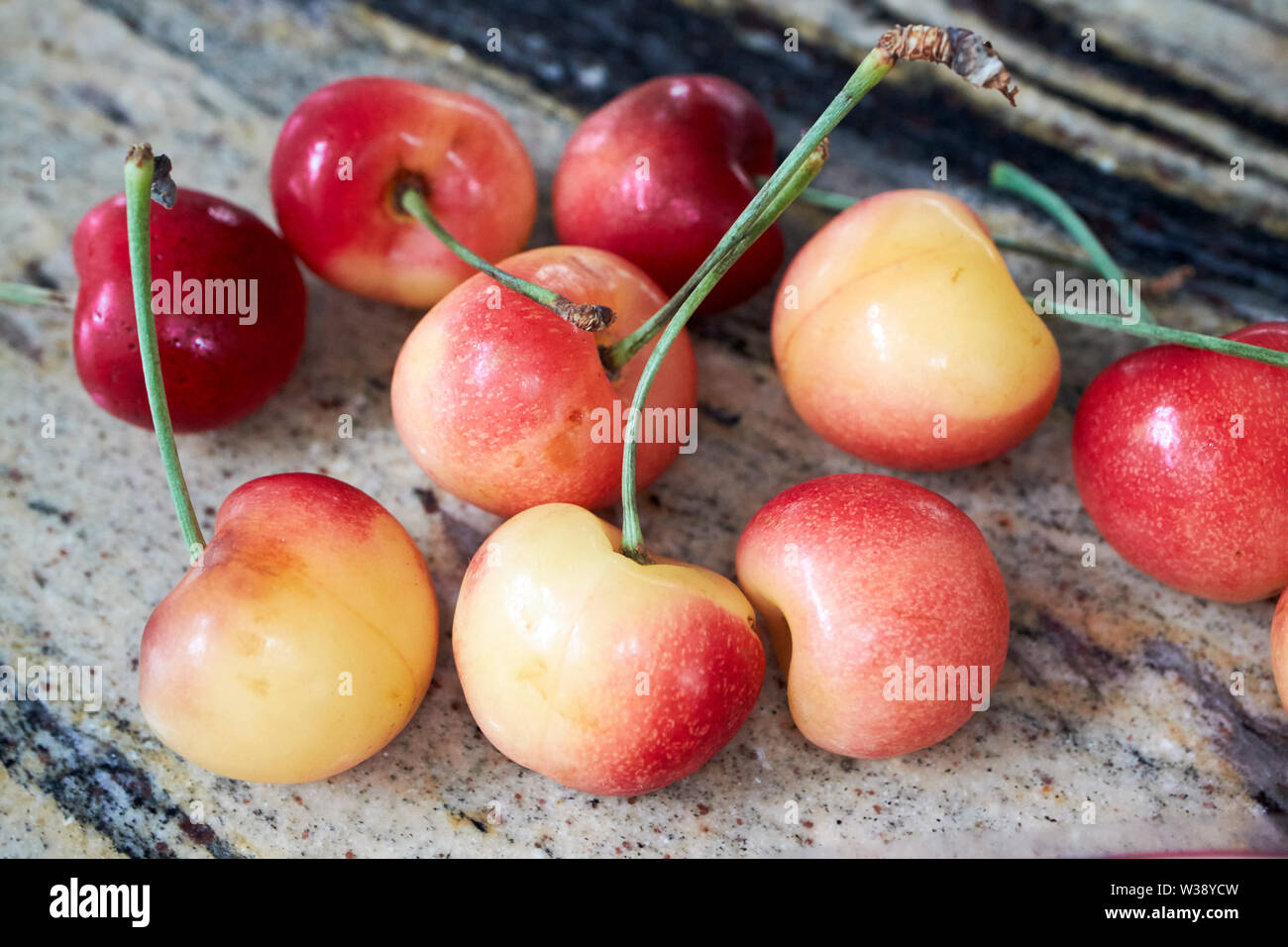 rainier cherries on a kitchen countertop USA United States of America Stock Photo