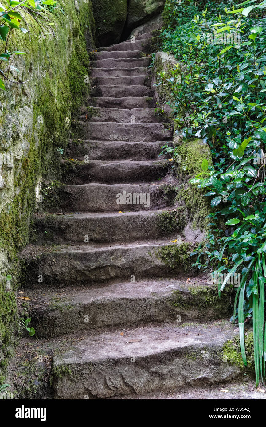 Old stone stairs covered with green vegetation Stock Photo