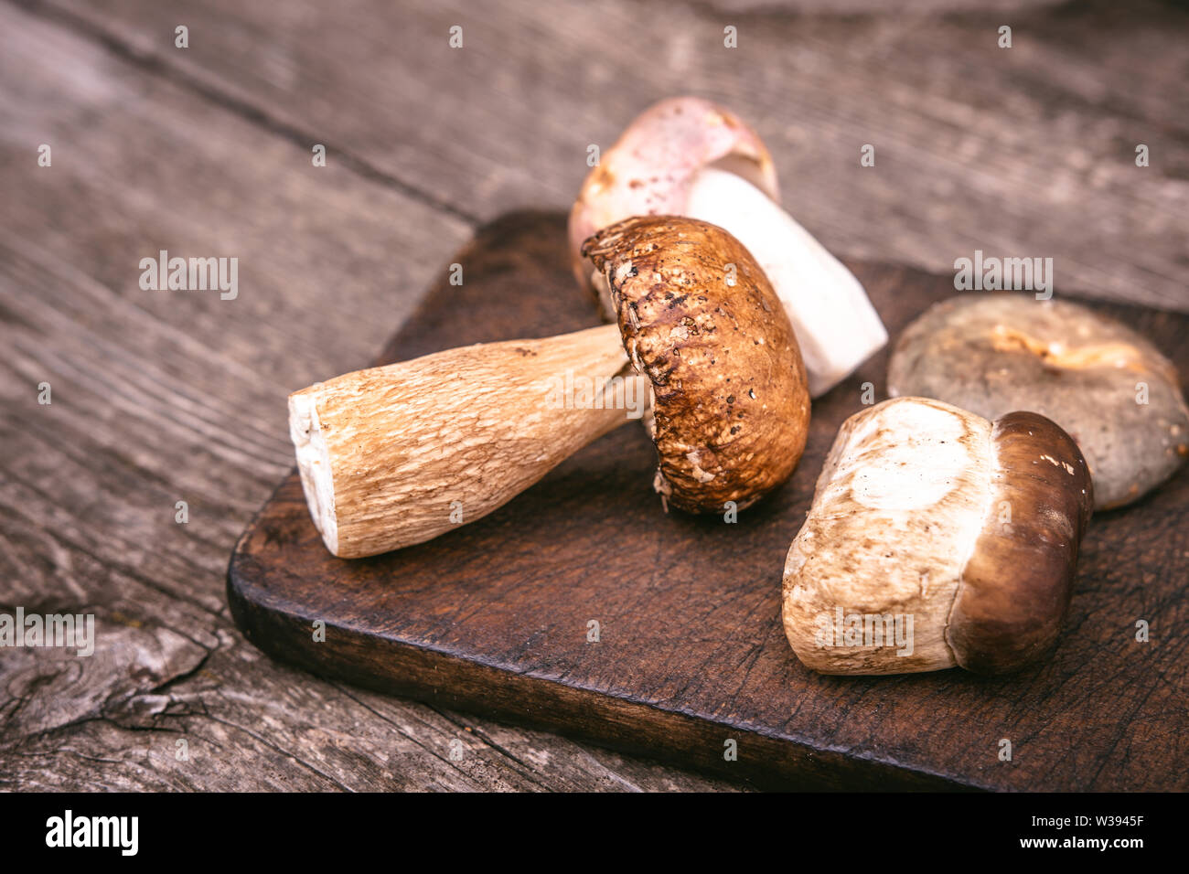 Delicious Types of Edible Brown Wild Mushrooms on Wooden Plank Background. Nature and Healthy Food Concept. Stock Photo