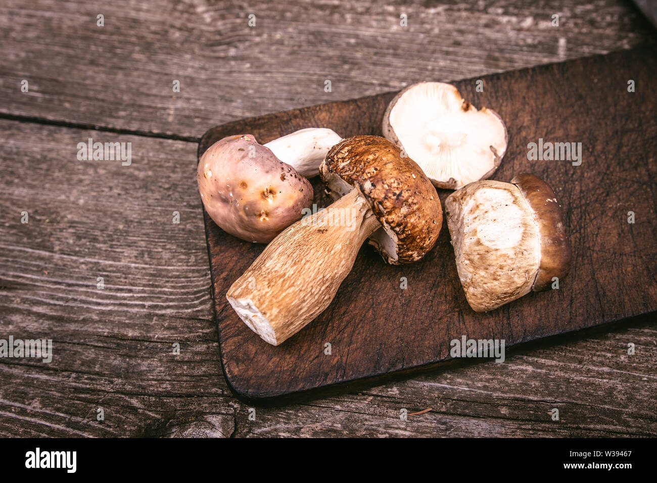 Delicious Types of Edible Brown Wild Mushrooms on Wooden Plank Background. Nature and Healthy Food Concept. Stock Photo