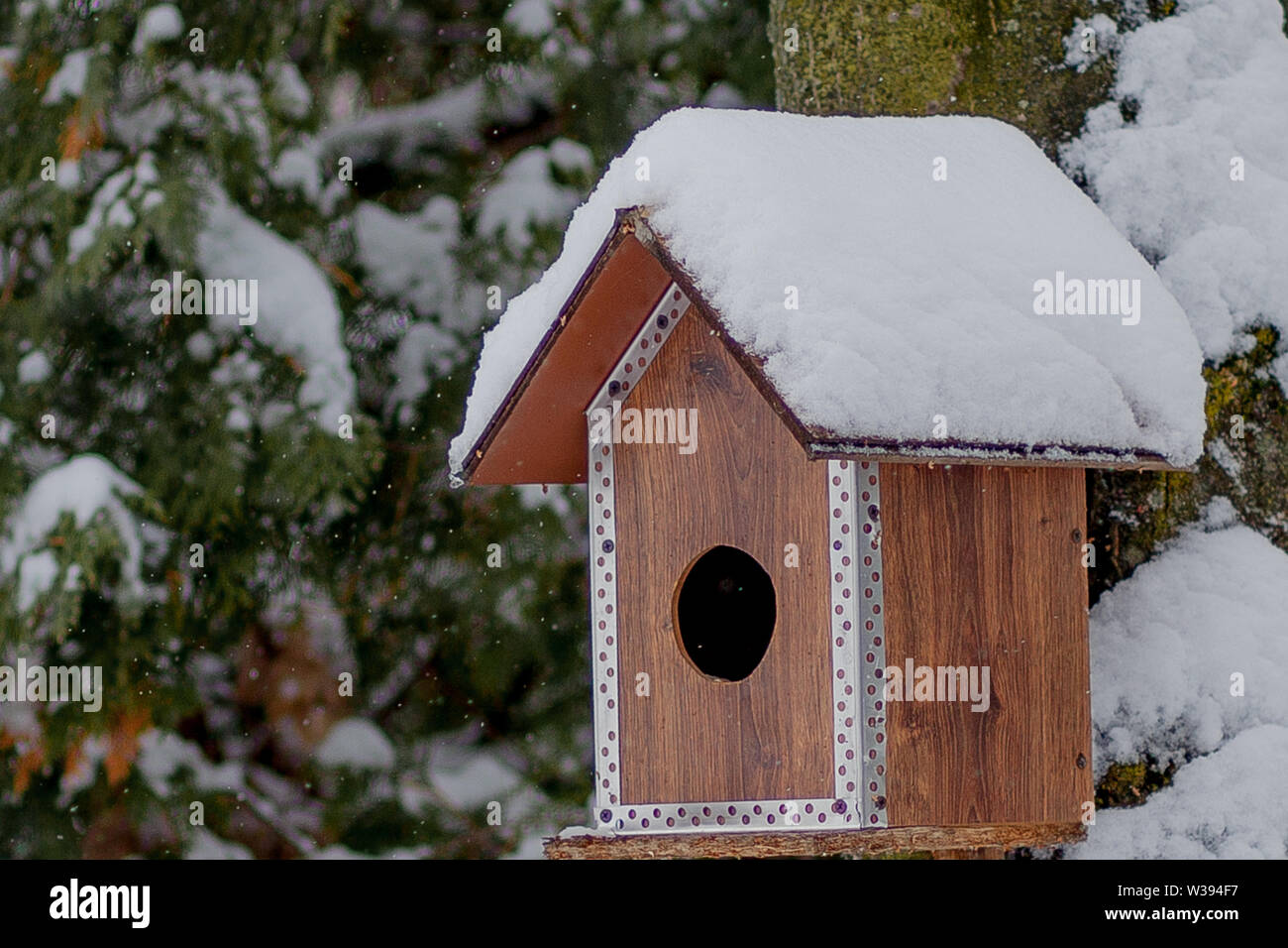 Bird Feeder In Winter Park Bird House Hanging Outdoors In Winter