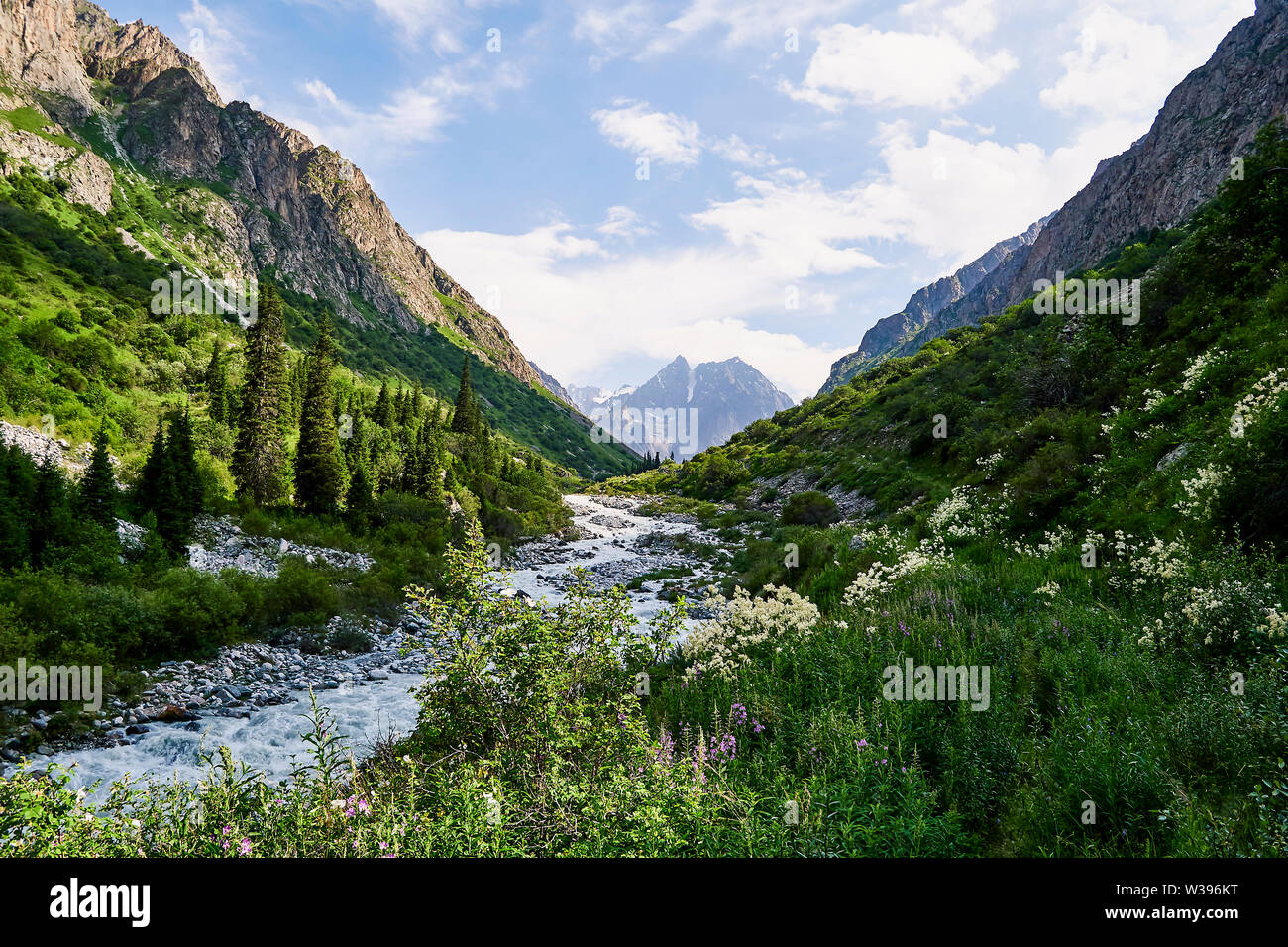 photo of summer mountain valley. Fabulous sunrise, amazing nature, spring, summer in the mountains. Hike, tourism Stock Photo