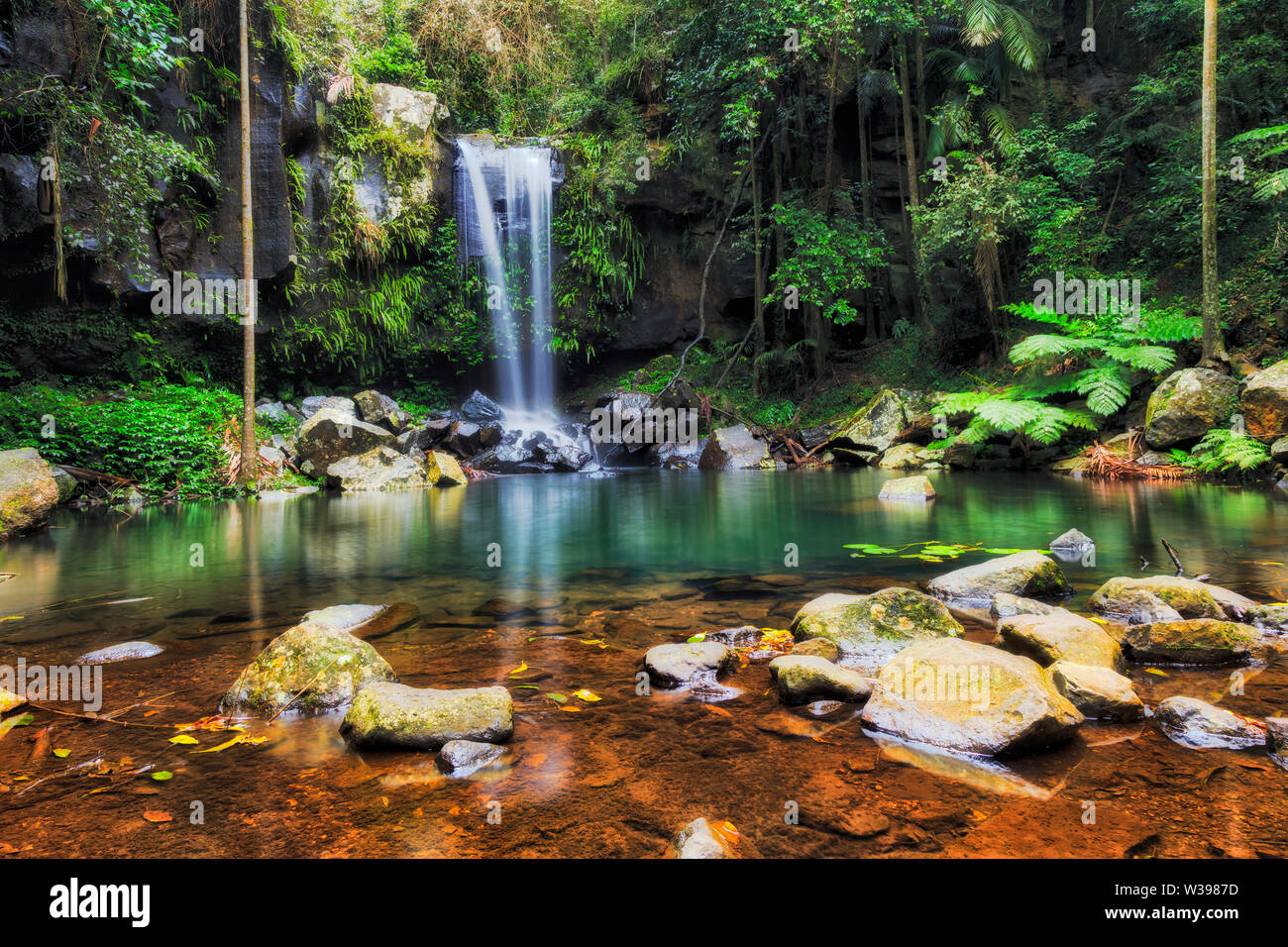 Remote waterfall and fresh water pool in creek deep in rainforest of Mt Tamborine national park, Queensland, Australia, Gold Coast. Stock Photo