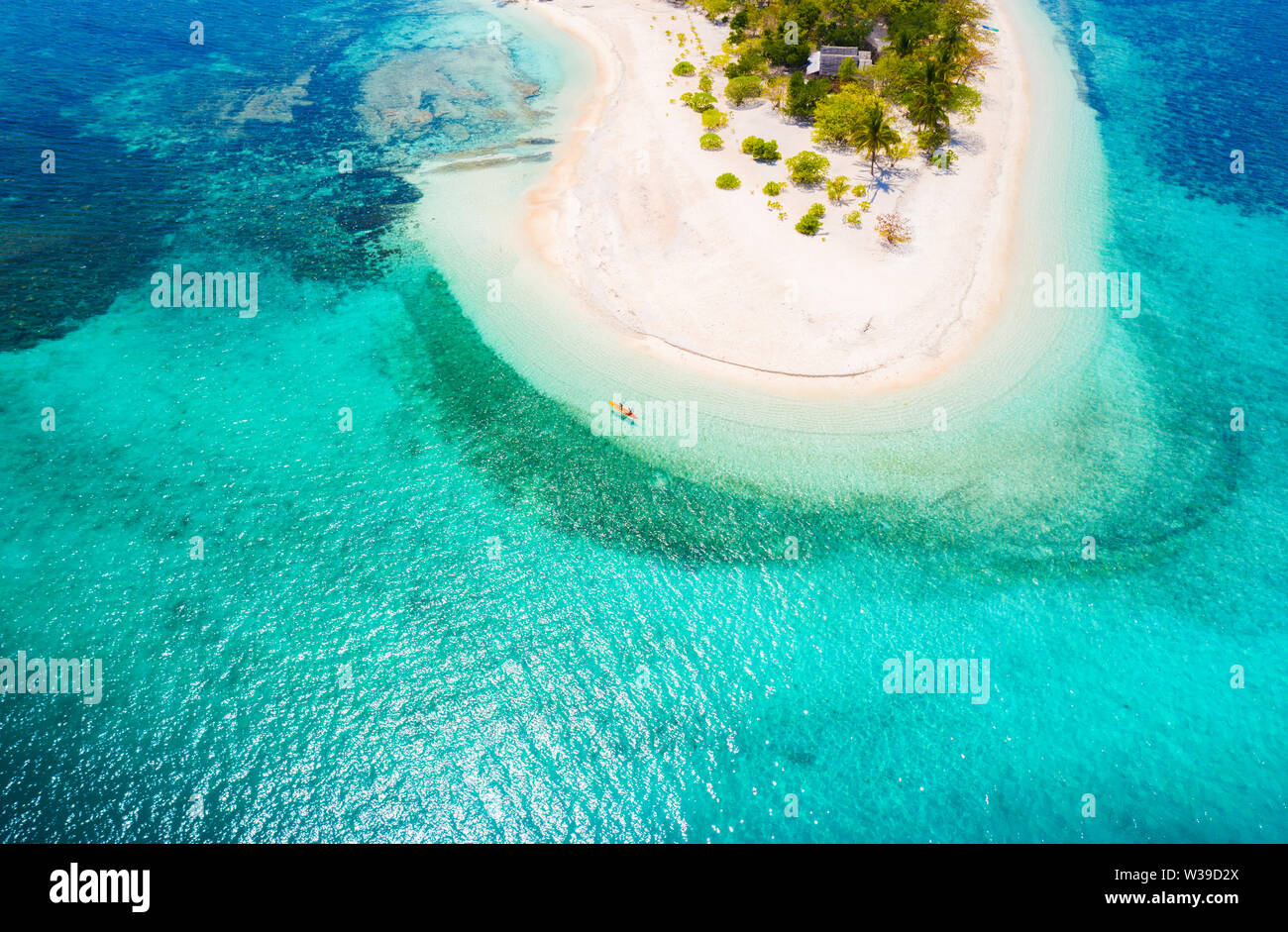 Couple kayaking on a tropical beach with blue water and palm trees ...