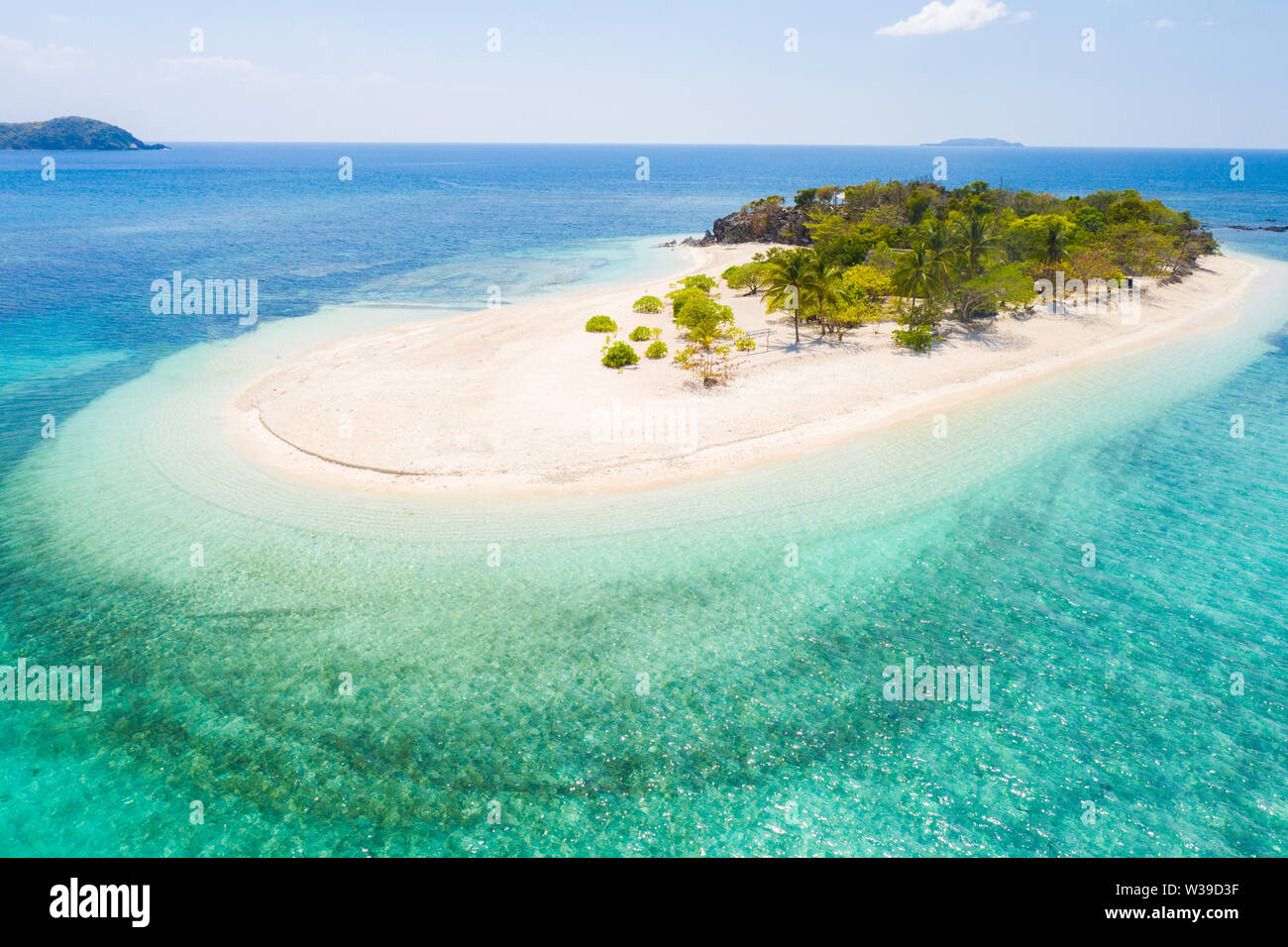 Couple kayaking on a tropical beach with blue water and palm trees ...