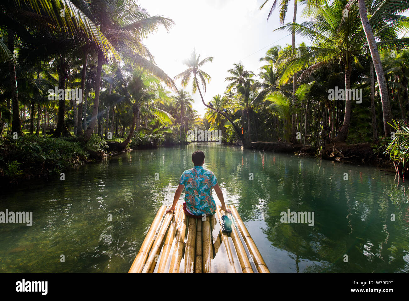 Famous instagrammed leaning palm tree at Maasin River in Siargao, Philippines - People having fun swinging on a coconut tree in the jungle Stock Photo