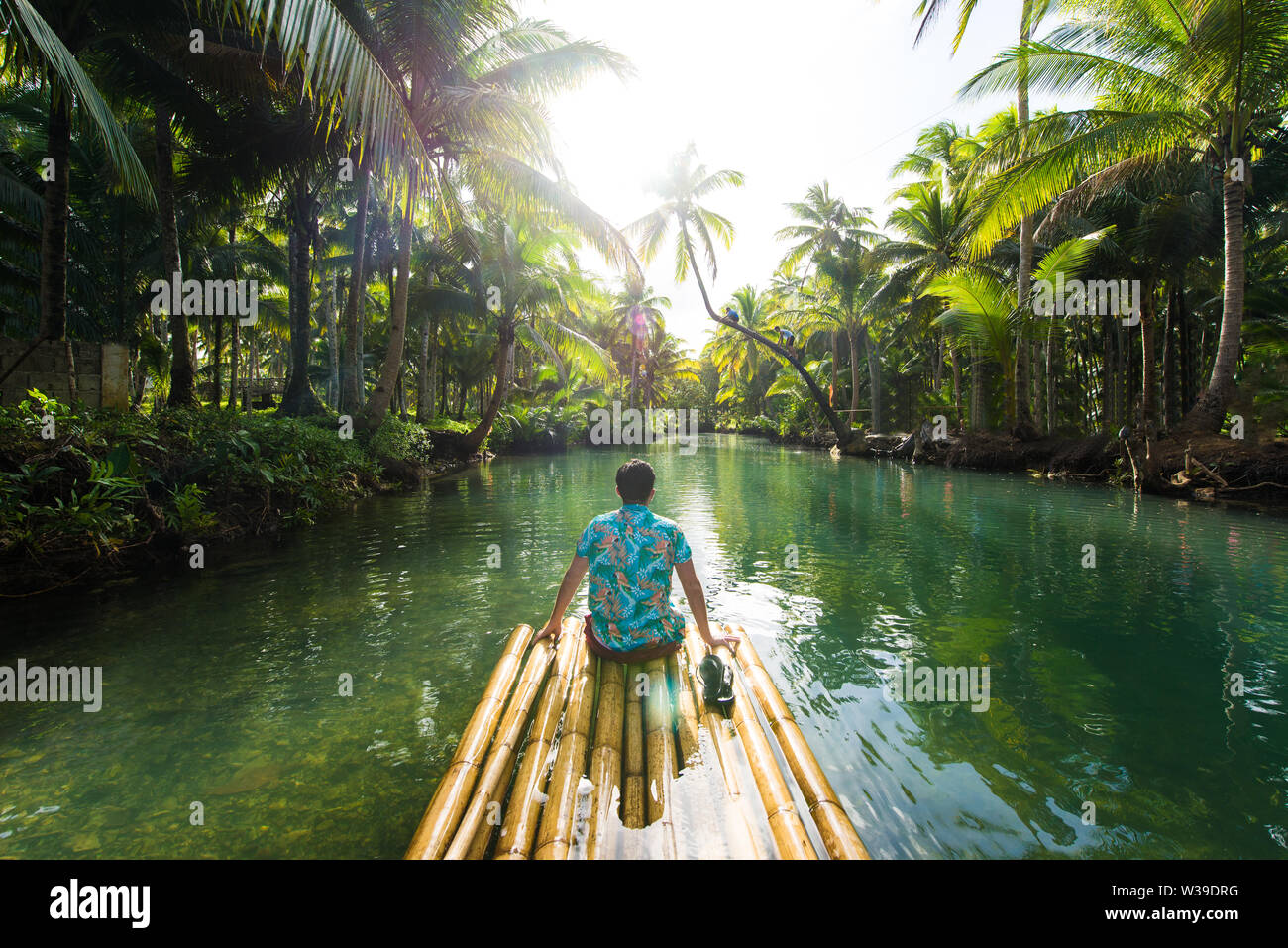 Famous instagrammed leaning palm tree at Maasin River in Siargao, Philippines - People having fun swinging on a coconut tree in the jungle Stock Photo