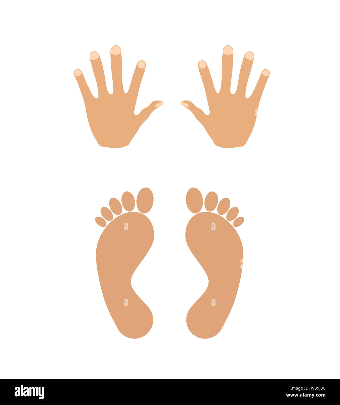 hands and feet vector illustration isolated on the white background Stock Photo