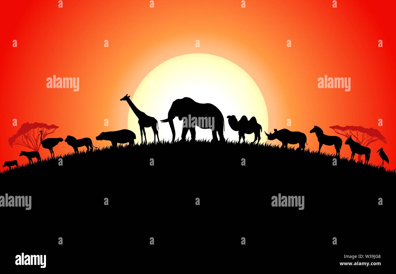 Set of african animals silhouette on sunset Stock Vector Image & Art ...