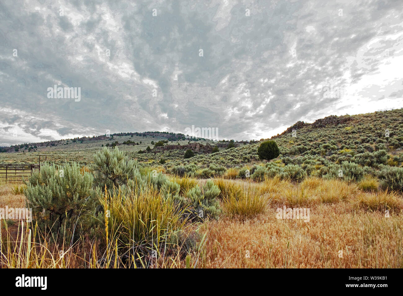 The Eastern Oregon desert is made up of mostly sage. Stock Photo