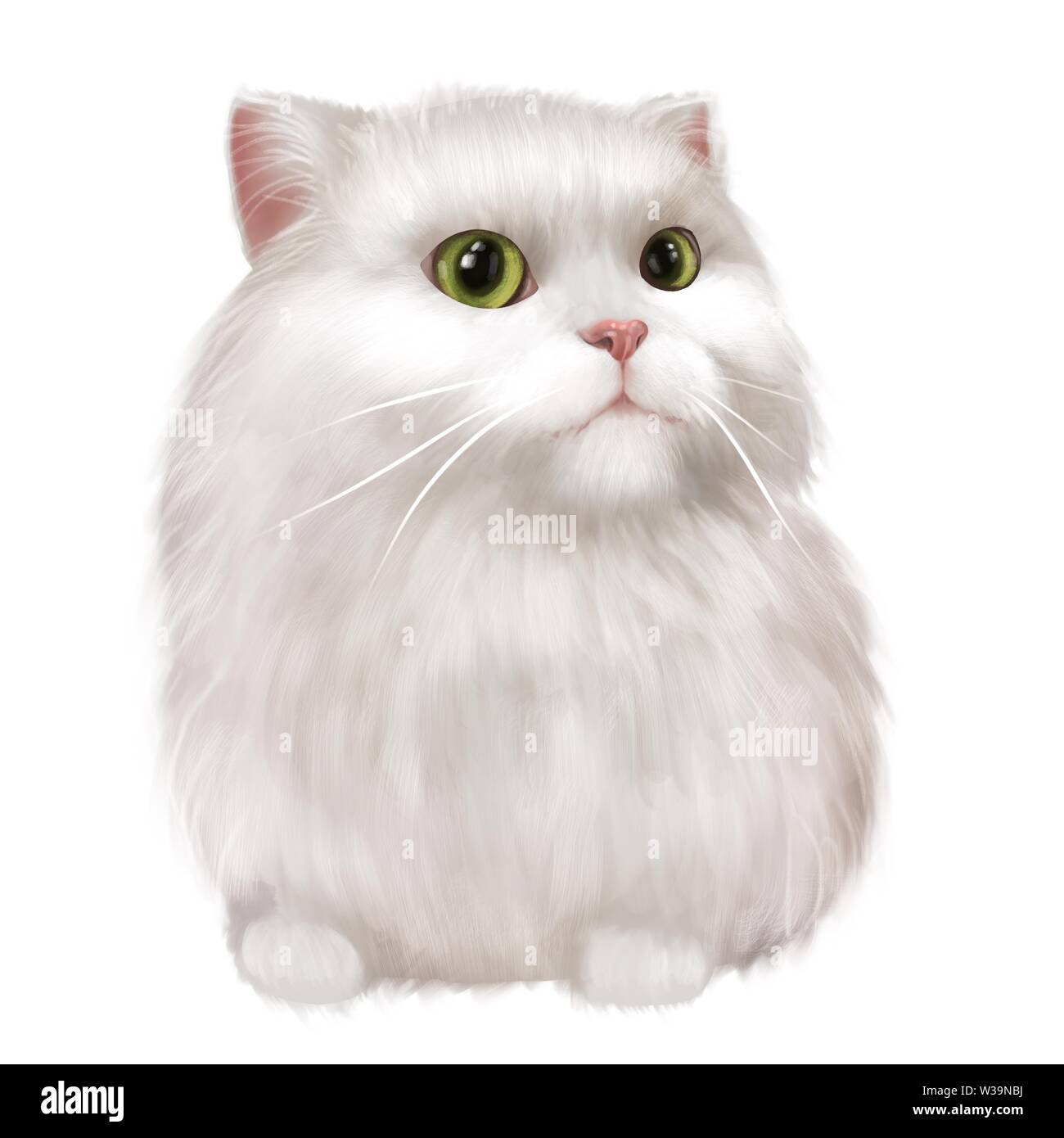 White fluffy cat Stock Photo Alamy
