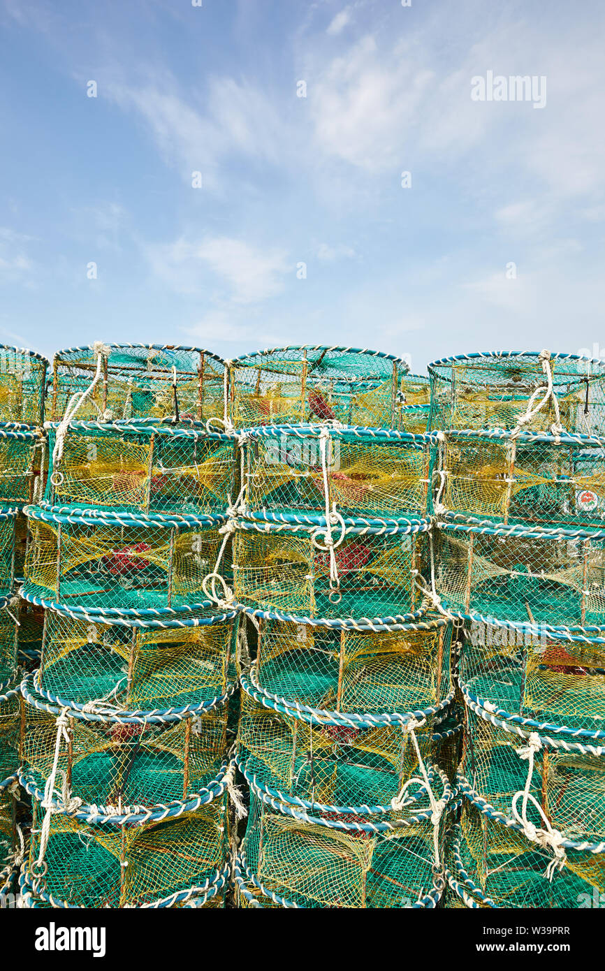 This is a fish catching tool made in Korea Stock Photo Alamy