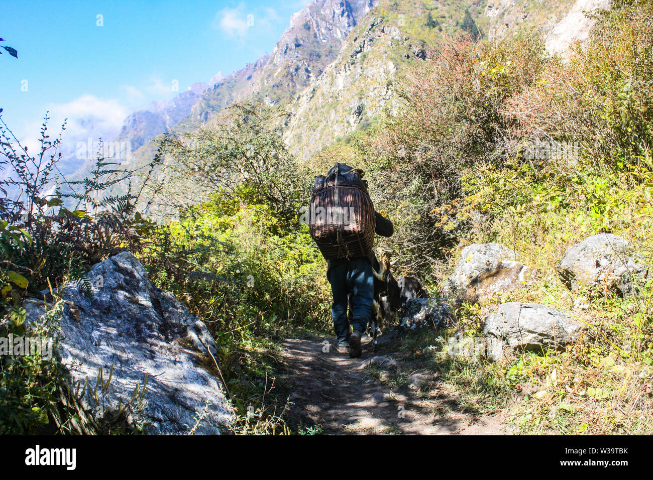 Lifestyles in Himalayan Region of Nepal. Local people carrying goods in their back. Transporting things from town to upper mountain village. Stock Photo