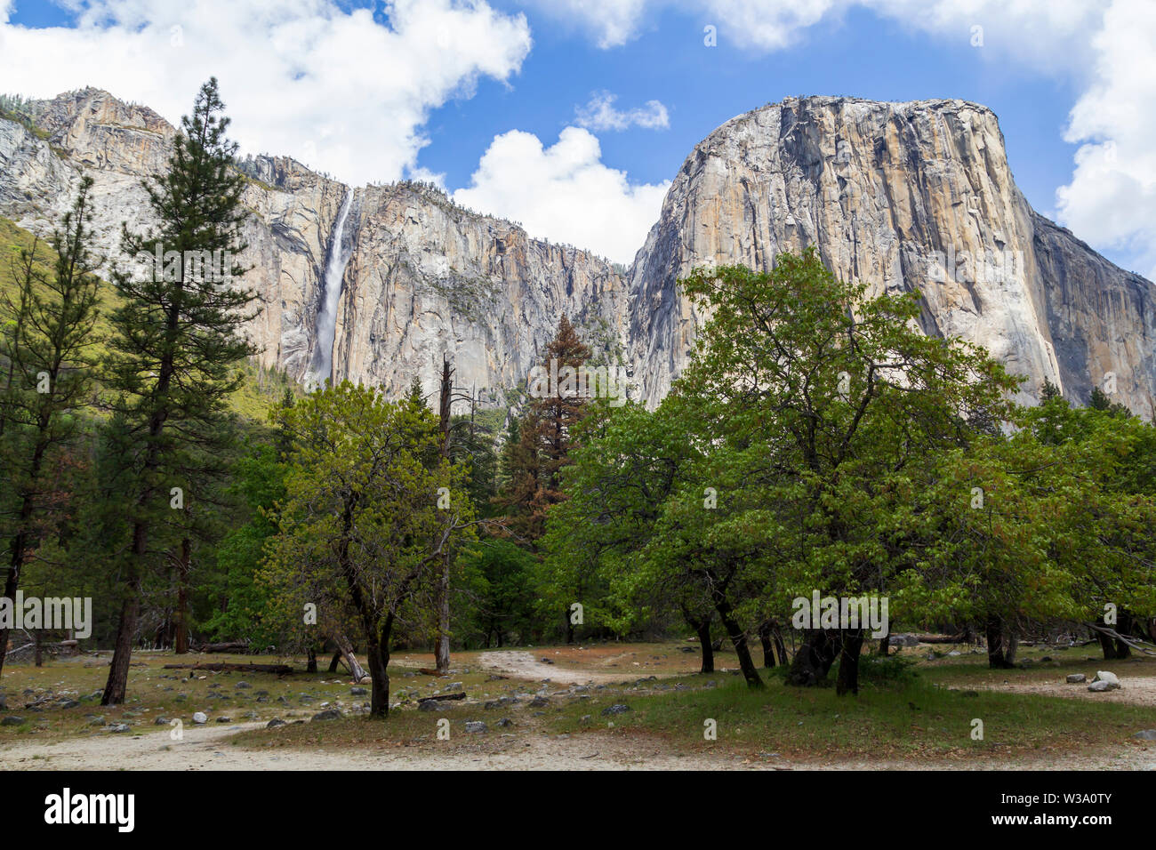 El Capitan Granite Mountain And Waterfall In Yosemite National