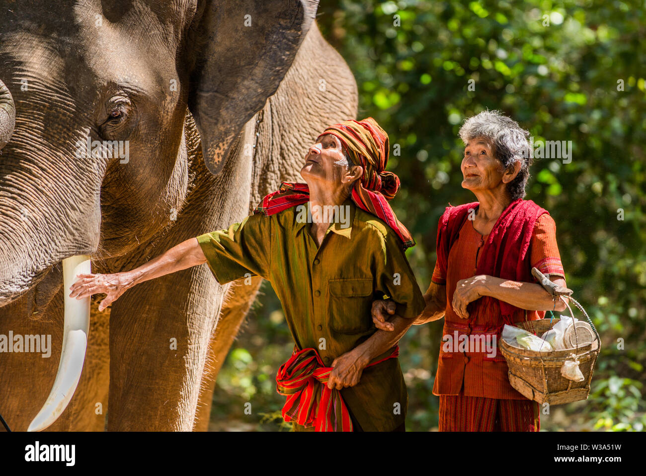 Elephant and farmers in asian countryside in Thailand - Thai elephant ...